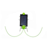 Solar Powered Grasshopper - Slim Wallet Company